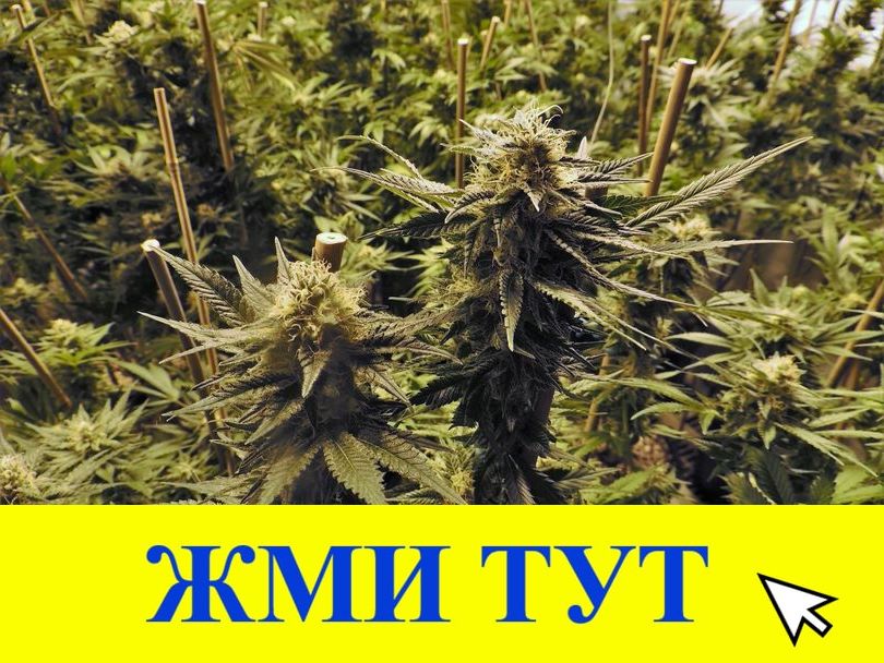 Купить наркотики в Южно-Сахалинске